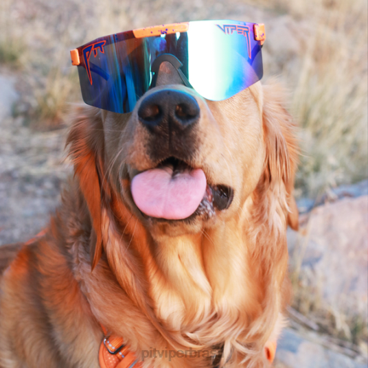 Pit Viper a paixão polarizada dupla largura 4XB4L65