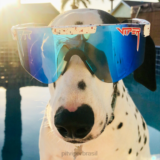 Pit Viper óculos de sol duplos polarizados da liberdade absoluta 4XB4L121