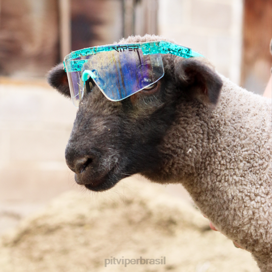 Pit Viper o baja blaster dos anos 2000 4XB4L104