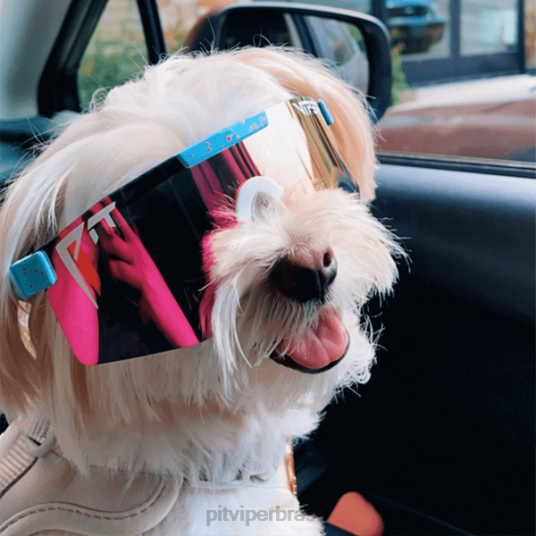 Pit Viper o gobby polarizado de largura dupla 4XB4L137