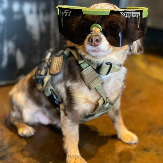 Pit Viper o njp anos 2000 4XB4L150