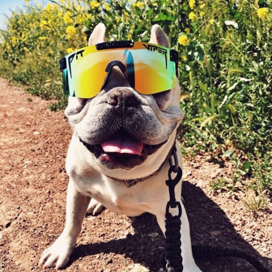 Pit Viper o touro monstro polarizado 4XB4L107