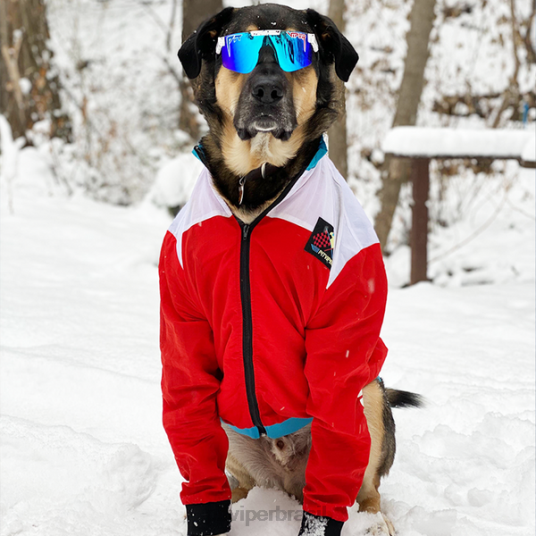 Pit Viper os óculos de sol polarizados da liberdade absoluta 4XB4L148