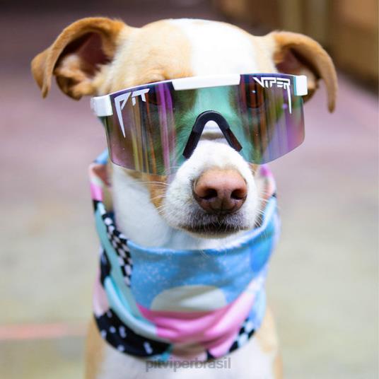 Pit Viper aquecedor de pescoço North Beach Tour 4XB4L248